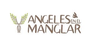 Diseño de paginas web