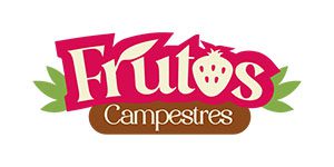 Diseño de paginas web